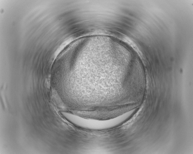 X0000088631097200706221514