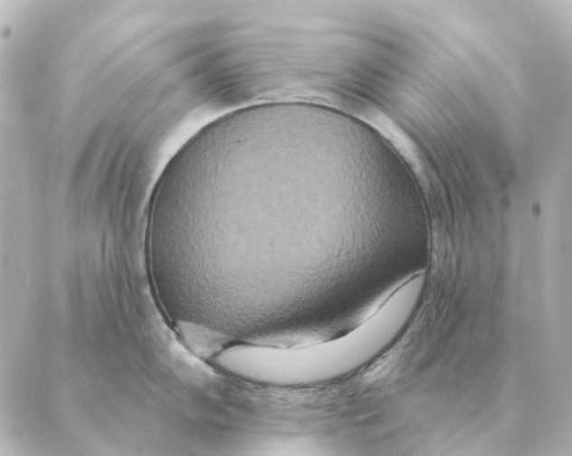 X0000088631102200706221514