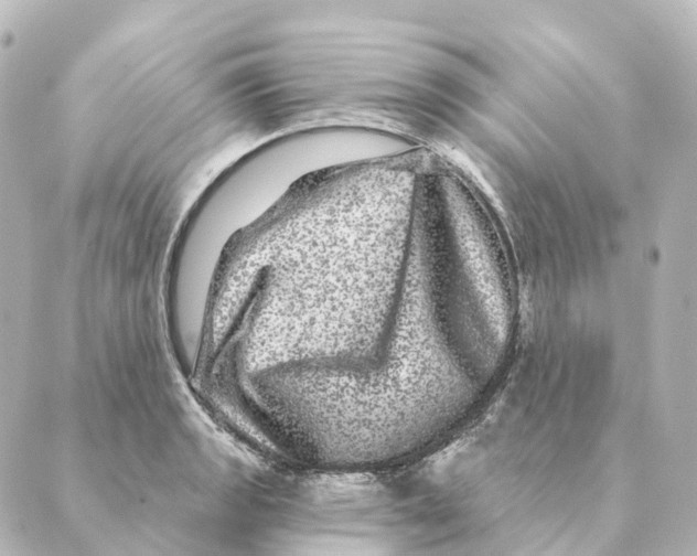 X0000088631133200706221514