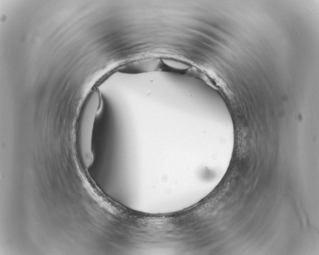 X0000088631134200706221514