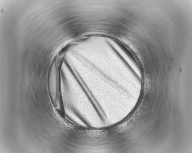 X0000088631137200706221514
