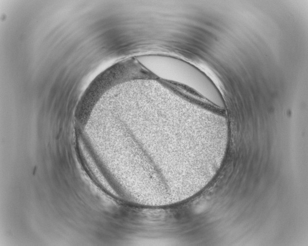 X0000088631142200706221514
