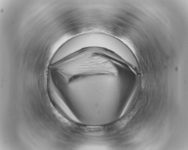 X0000088631151200706221514