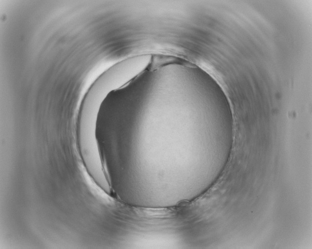 X0000088631152200706221514