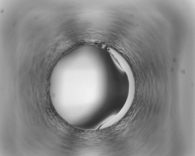 X0000088631153200706221513