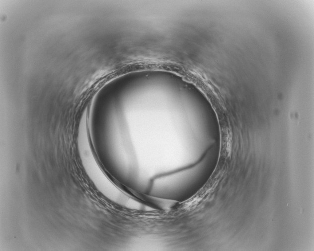 X0000088631157200706221513