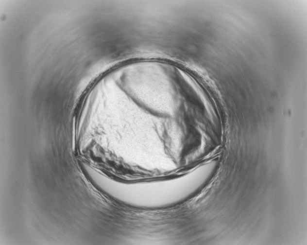 X0000088631175200706221513