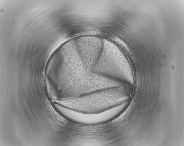 X0000088631178200706221513