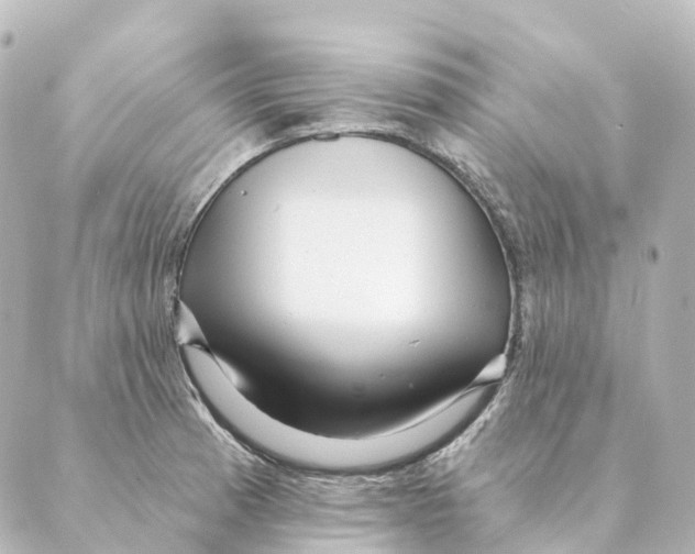 X0000088631185200706221513