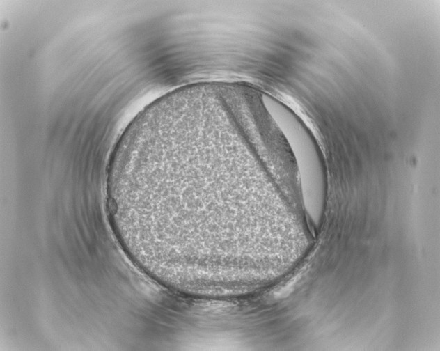 X0000088631187200706221513