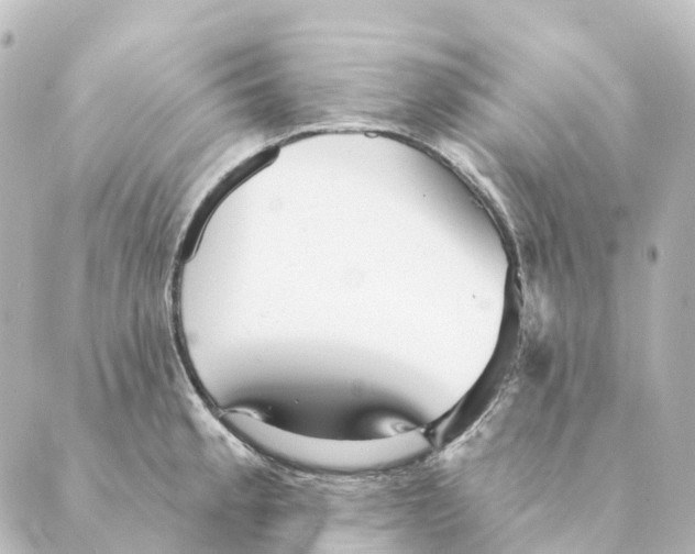 X0000088631189200706221513