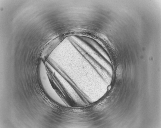 X0000088631209200706221512