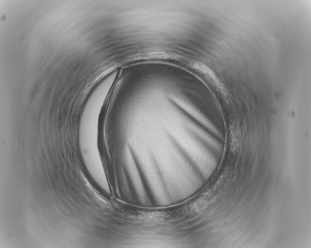 X0000088631225200706221512