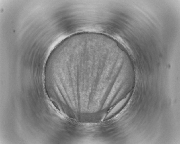 X0000088631240200706221512
