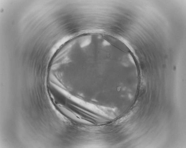 X0000088631245200706221512