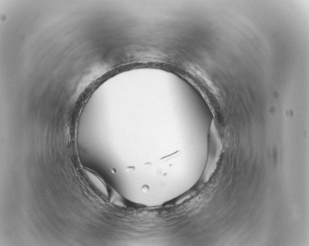 X0000088631261200706221511