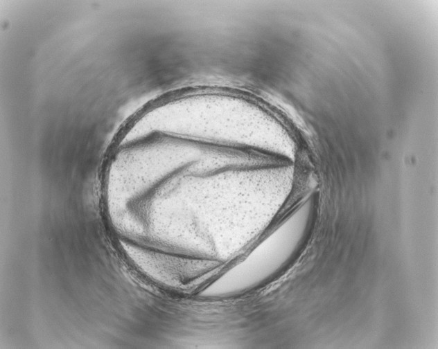 X0000088631264200706221511