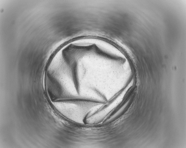 X0000088631272200706221511
