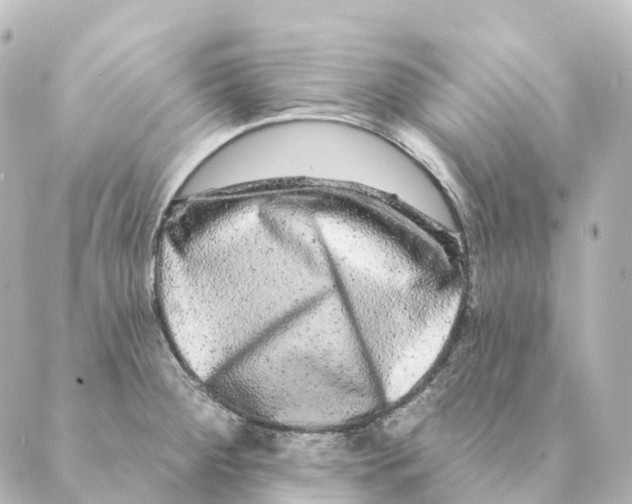 X0000088631284200706221511