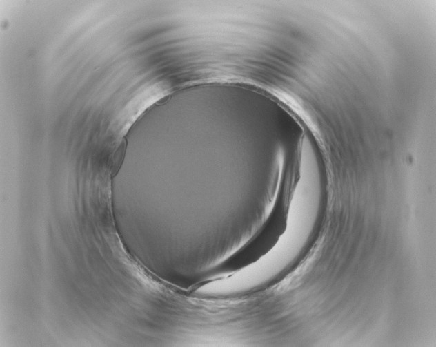 X0000088631289200706221511