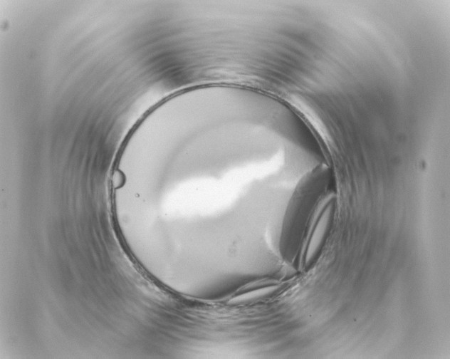 X0000088631291200706221511