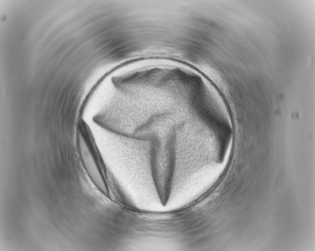 X0000088631296200706221511
