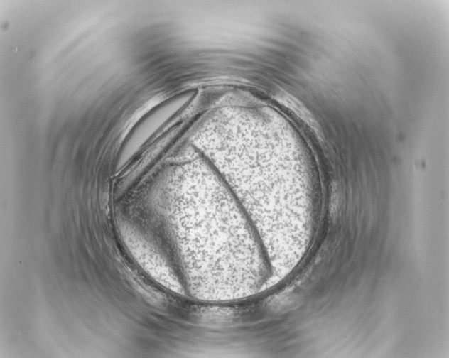 X0000088631321200706221510