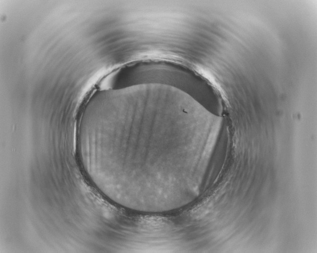 X0000088631323200706221511