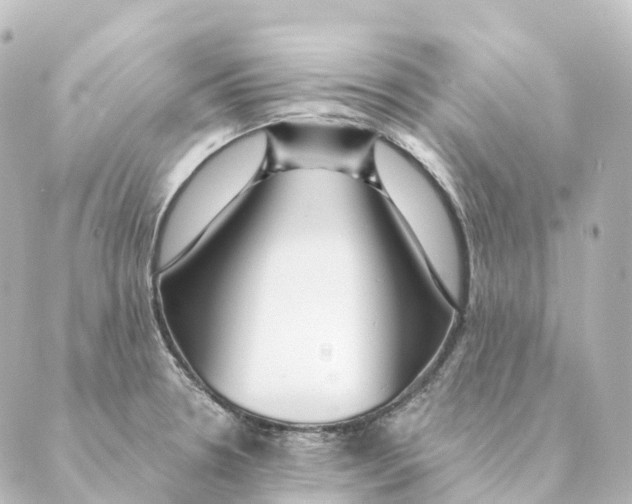 X0000088631330200706221511