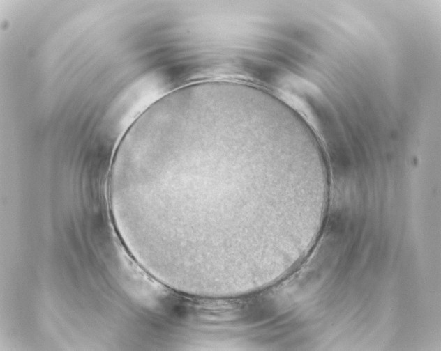X0000088631338200706221511