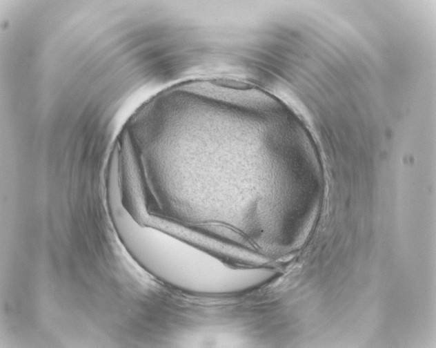 X0000088631344200706221511