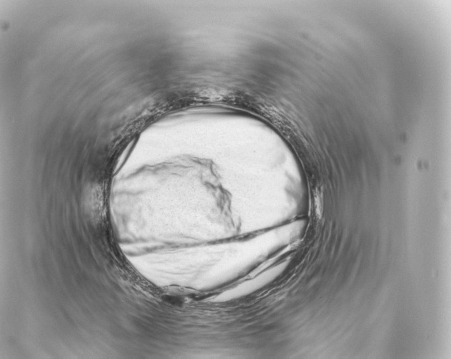 X0000088631347200706221510