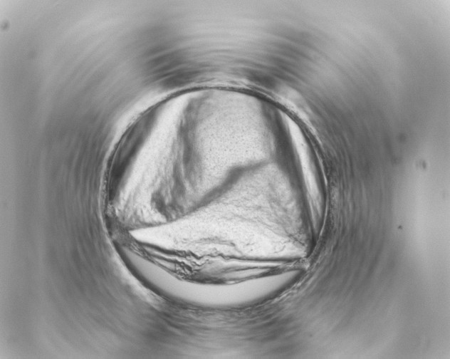 X0000088631379200706221510