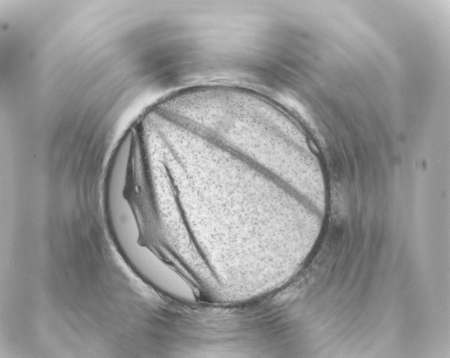 X0000088631424200706221509
