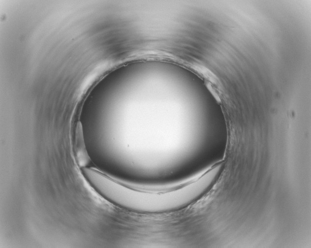 X0000088631430200706221509