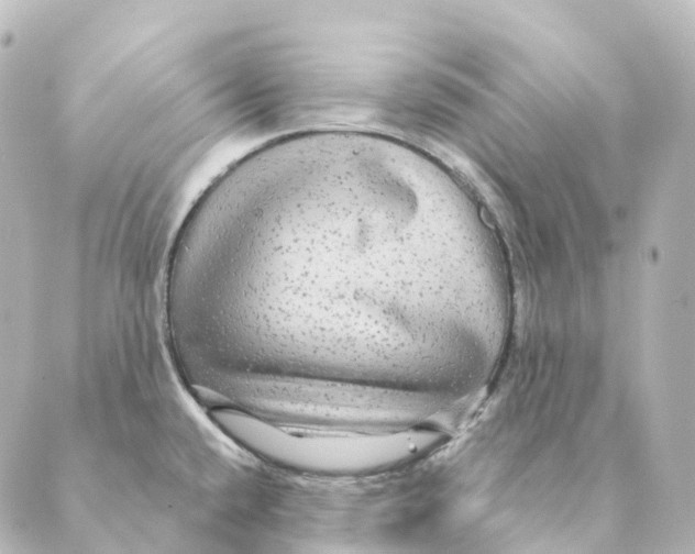 X0000088631432200706221509