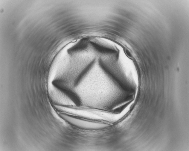 X0000088631433200706221509