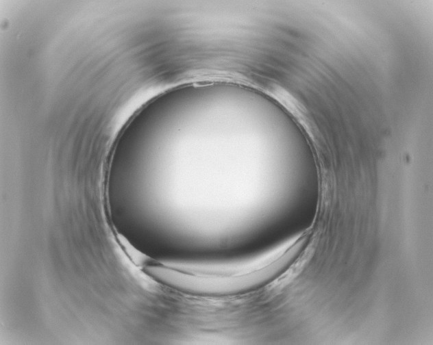 X0000088631438200706221509