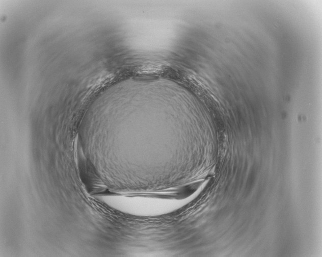 X0000088631441200706221509