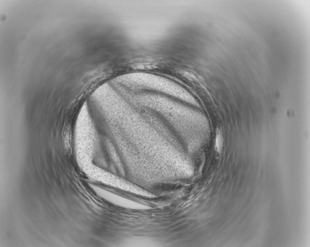 X0000088631444200706221508