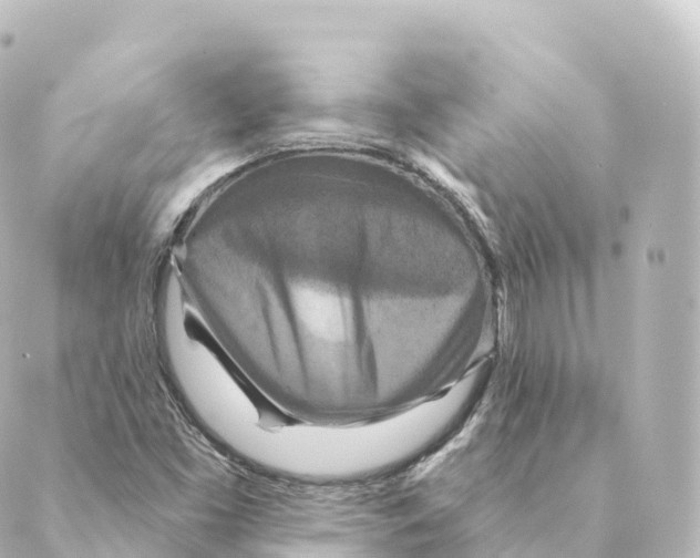 X0000088631453200706221508