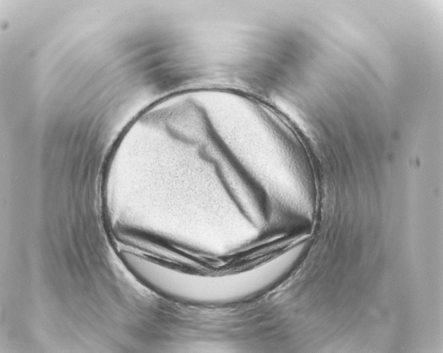 X0000088631468200706221508