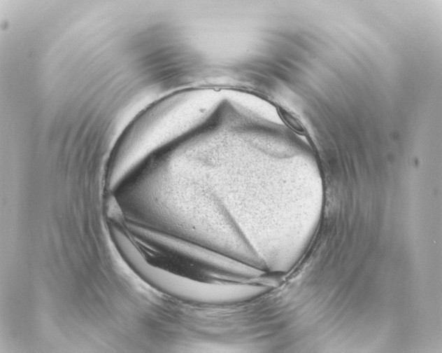 X0000088631483200706221508