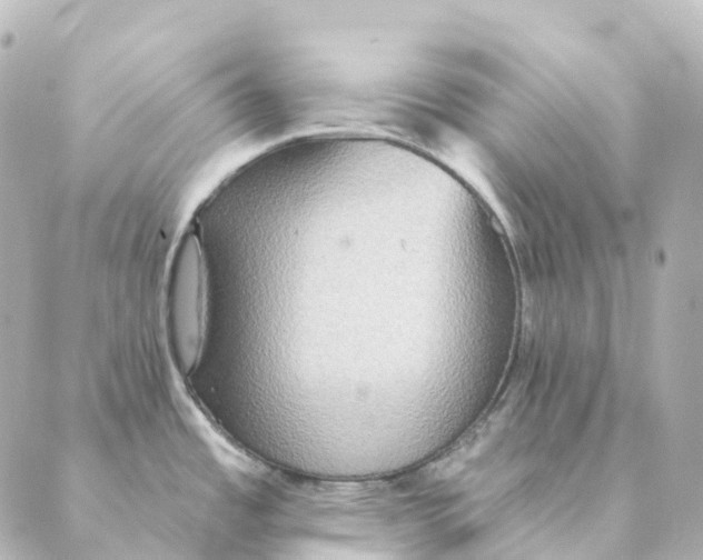 X0000088631485200706221508