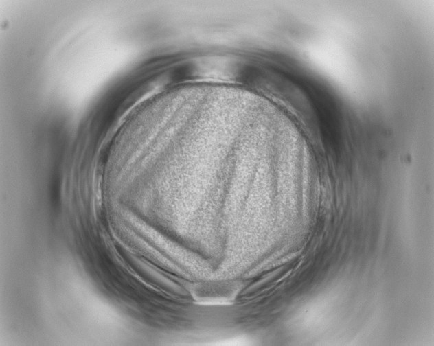 X0000088631487200706221508