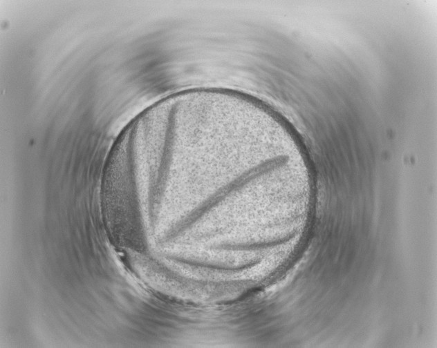 X0000088631513200706221507