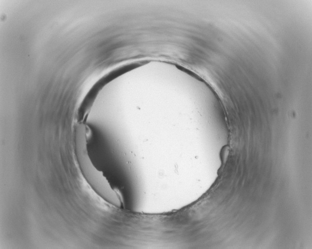 X0000088631532200706221508