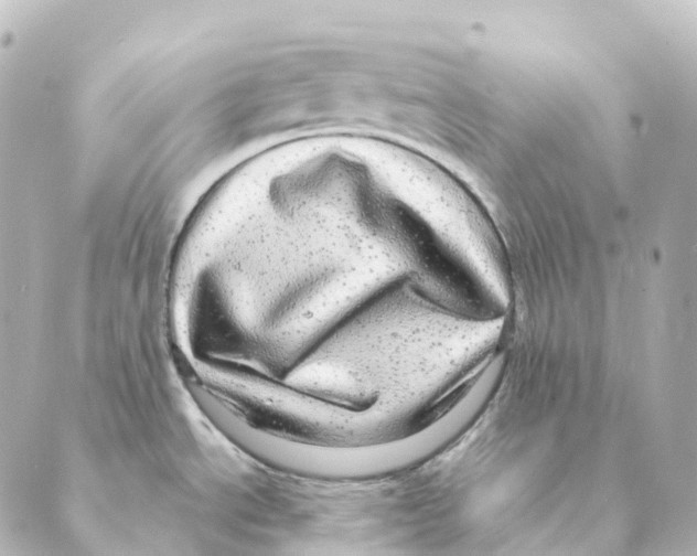 X0000088631534200706221508