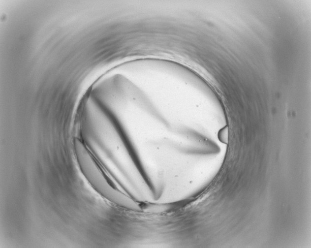 X0000088631536200706221508