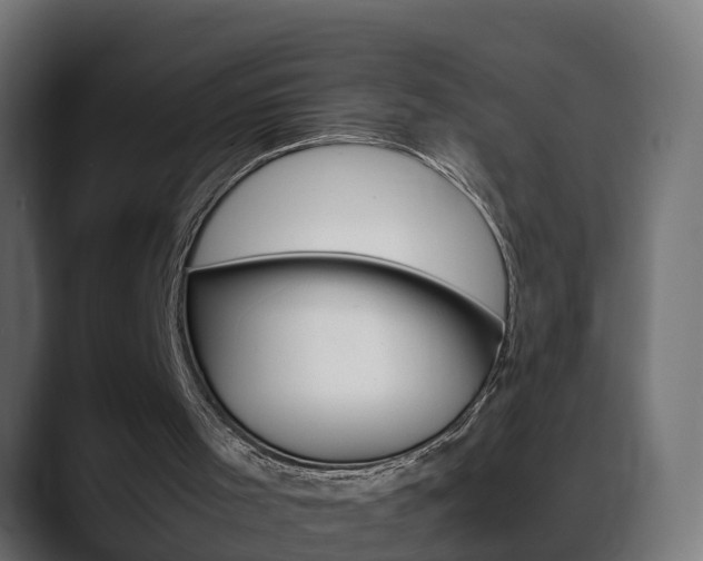 X0000088640001200705250928